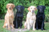 Familjen:-)